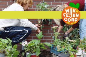 Lees meer over het artikel Zaterdag 29 augustus: Feijenoord plant