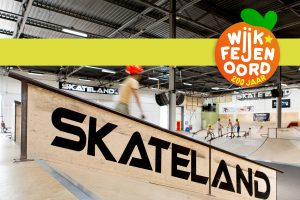 Lees meer over het artikel Zondag 23 augustus: Feijenoord x RSCW